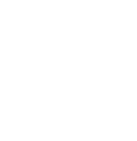 AAP logo